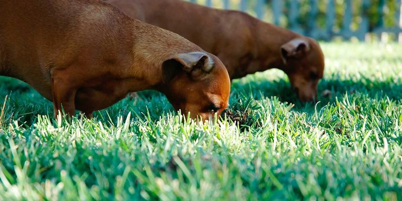 从危机到新生：银河食品如何通过透明与创新重建消费者信任