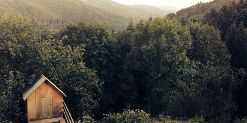 从废弃物到宝藏：银河食品如何重塑食品循环经济，将副产品转化为高附加值健康原料