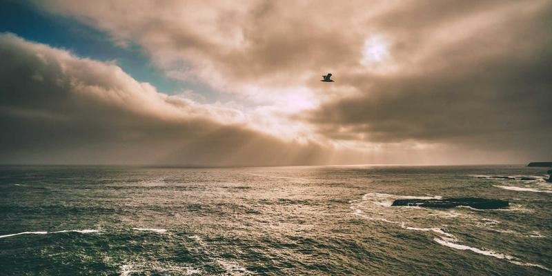 从果皮到新材料：银河食品如何将加工副产物变为黄金，引领食品行业循环经济革命