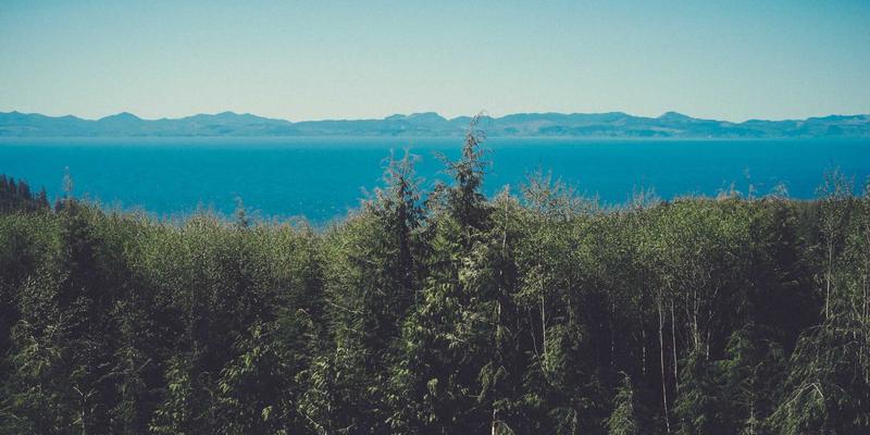 从源头到餐桌的守护:银河食品如何构建坚不可摧的食品安全风险预警与快速响应体系