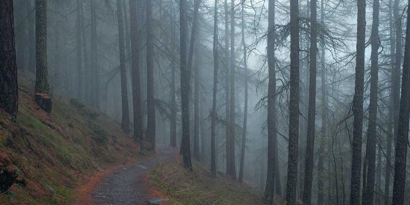 解码Z世代味蕾:银河食品如何用感官科学实验室重塑食品加工与供应新范式