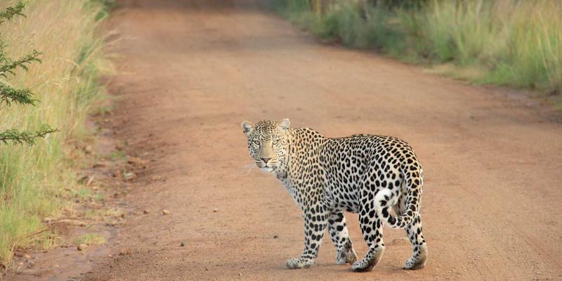 银河食品B2B战略解码:如何通过定制化食品加工与供应,赋能餐饮与零售企业降本增效