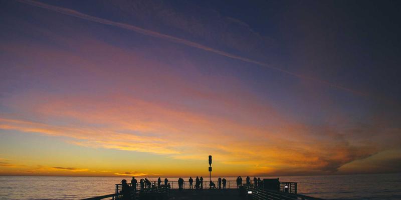 银河食品的微生物组学革命:益生菌与发酵技术如何重塑功能性健康食品产业